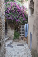 IMG_6198.jpeg