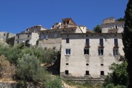 IMG_7247.jpeg