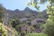 IMG_7248.jpeg