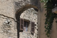 IMG_7259.jpeg