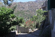IMG_7261.jpeg