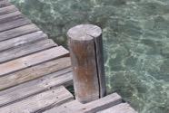 IMG_7291.jpeg