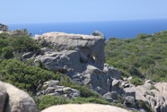 IMG_7814.jpeg