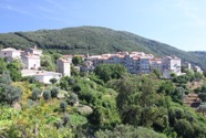 IMG_7894.jpeg