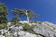 IMG_7928.jpeg