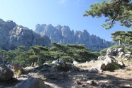 IMG_7944.jpeg
