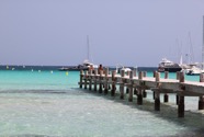 IMG_8231.jpeg