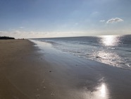 IMG_0351.jpeg