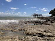 IMG_1042.jpeg
