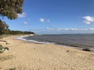 IMG_1098.jpeg