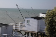IMG_1243.jpeg