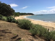IMG_2478.jpeg