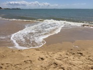 IMG_2481.jpeg