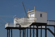 IMG_9516.jpeg