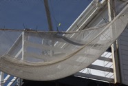 IMG_9538.jpeg