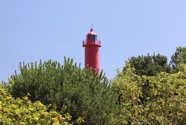 Royan Pontaillac Vaux - 122.jpeg