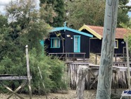 IMG_0139.jpeg