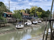 IMG_0143.jpeg
