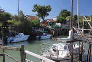 IMG_2052.jpeg
