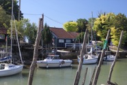 IMG_2069.jpeg