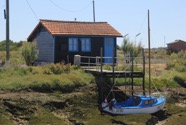 IMG_2145.jpeg