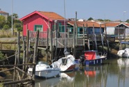 IMG_2193.jpeg