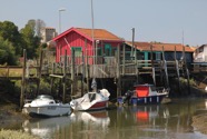 IMG_2206.jpeg