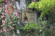 IMG_4882.jpeg