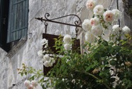 IMG_4897.jpeg
