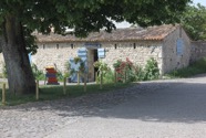 IMG_0925.jpeg