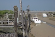 IMG_0380.jpeg