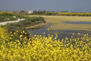 IMG_0383.jpeg