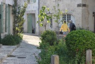 IMG_0452.jpeg