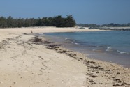IMG_0484.jpeg