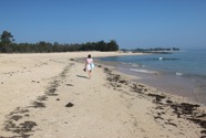 IMG_0505.jpeg