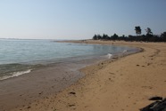 IMG_0514.jpeg
