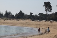IMG_0526.jpeg