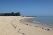 IMG_0533.jpeg