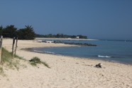 IMG_0543.jpeg