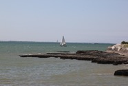 IMG_6666.jpeg