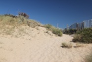 IMG_6685.jpeg