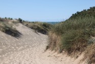 IMG_6689.jpeg