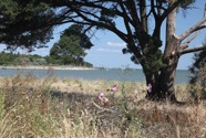 IMG_6692.jpeg