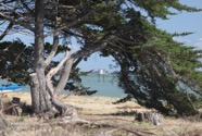 IMG_6694.jpeg