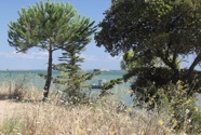 IMG_6706.jpeg