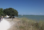 IMG_6710.jpeg