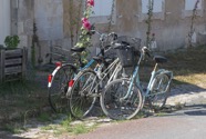 IMG_6715.jpeg