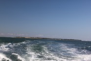 IMG_6733.jpeg