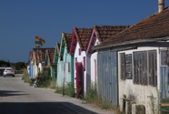 IMG_6603.jpeg