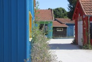 IMG_6605.jpeg